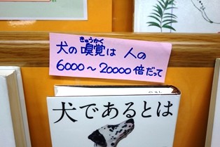 DSC07805