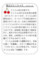 24日（金）_【旬の食材】　さくらんぼ.pdfの1ページ目のサムネイル