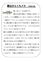 5日（火）_【旬の食材】　鯵.pdfの1ページ目のサムネイル