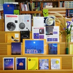 DSCN6589