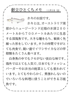 2日（金）_ホキ.pdfの1ページ目のサムネイル