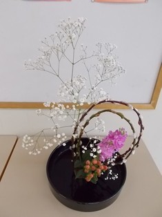 DSCN9748