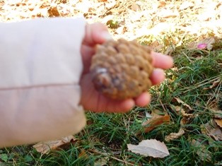 DSCN9014