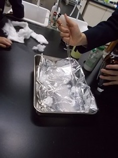 DSCN9885