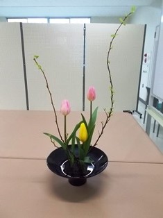 DSCN0437