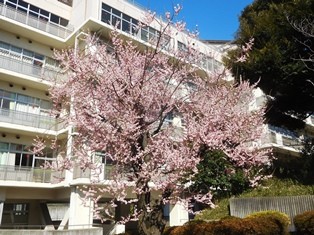 DSCN4909