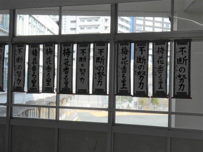 DSCN3020 (2)