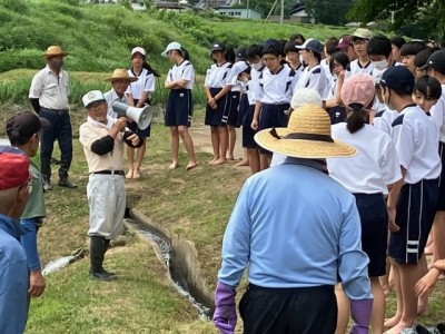 田植え１０