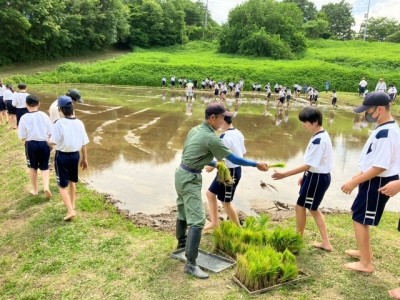 田植え９