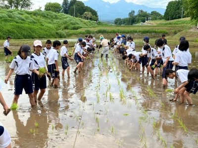 田植え７