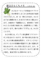 6日（金）_かぶ.pdfの1ページ目のサムネイル