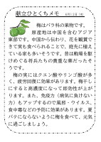 12日（木）_【旬の食材】　梅.pdfの1ページ目のサムネイル