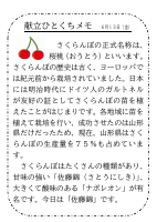 13日（金）_【旬の食材】　さくらんぼ.pdfの1ページ目のサムネイル