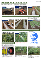 20250603_都産とうもろこしができるまで (1).pdfの1ページ目のサムネイル
