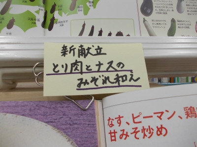DSCN0093