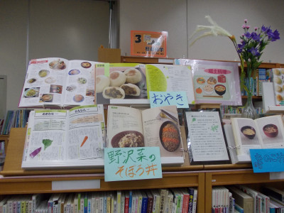 DSCN0334