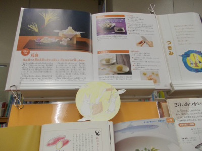 DSCN0395