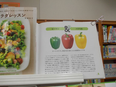 DSCN0409