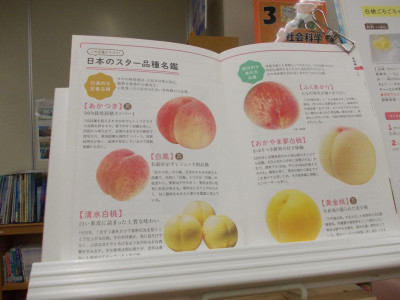 DSCN0436
