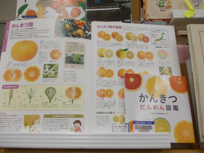 DSCN0504
