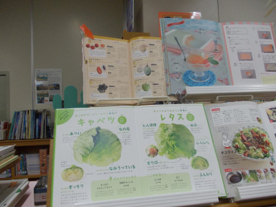 DSCN0513