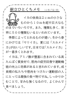 17日（月）_いか.pdfの1ページ目のサムネイル