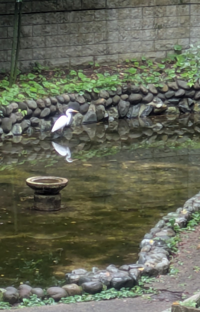 PXL_20251016_022031883.MP