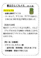 5月1日（金）_【旬の食材】　パイナップル.pdfの1ページ目のサムネイル