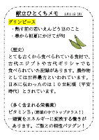 5月11日（月）_【旬の食材】　グリンピース.pdfの1ページ目のサムネイル