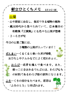 5月19日（火）_【旬の食材】　山菜.pdfの1ページ目のサムネイル
