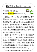 6月25日（木）_【旬の食材】緑茶葉.pdfの1ページ目のサムネイル