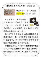 6月26日（金）_レンズ豆.pdfの1ページ目のサムネイル