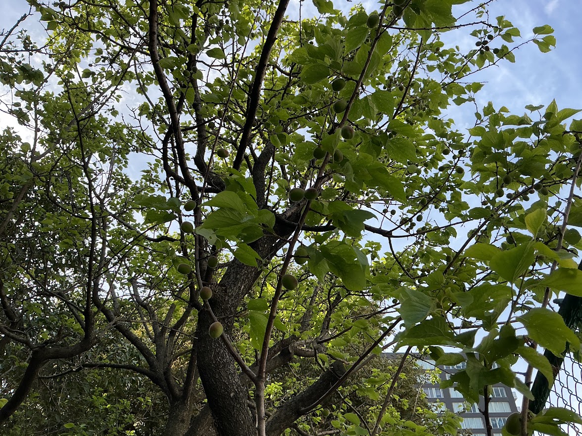 2026年4月17日（16_21）